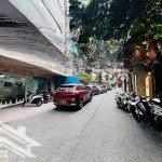 Bán nhà núi trúc, ô tô tải tránh, 54m x 4 tầng 1 mặt phố 1 mặt ngõ. kinh doanh đỉnh giá 15.5 tỷ