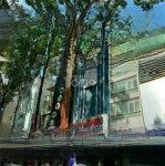 Siêu vị trí- giá cực tốt ! mặt tiền bạch đằng, p2, tân bình. 4x18m(72m2) - 5 tầng chỉ 16,5 tỷ tl