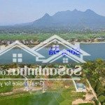 Lô góc 200m2 full đất ở mặt tỉnh lộ 317 view sông đà - núi ba vì