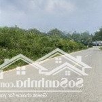 4500m2 mặt tỉnh lộ 446 cần bán tại thạch thất- hà nội nhiều thổ cư