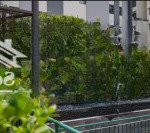 Căn hộ the habitat bình dương mở bán gđ 3, chỉ 3.465 tỷ sở hữu ngay căn 77m2 2pn view hồ bơi vô cực