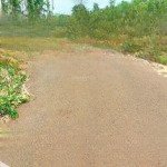 Bán đất 6300m2 tại đường xuân sơn - đá bạc, xã sơn bình, châu đức, bà rịa vũng tàu, 7 tỷ vnd, 120m