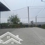 Pl trung oai tiên dương đông anh gi,,á ngon sát đường võ nguyên giáp gần công viên kim quy