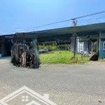 Bán đất suối tiên mặt tiền đường gò mè