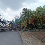 Bán quán cafe, ngay chợ tân phú trung, sổ hồng riêng, 12x27=412m2, đất cây, giá 1.6 tỷ