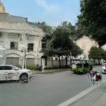 Biệt thự song lập vinhomes ocean park - view biển - vỉa hè kinh doanh bất chấp - khu đô thị