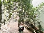 Bán nhà cấp 4 mặt tiền đường lam sơn - giá 14,5 tỷ