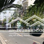 Hàng hiếm! dt 8x20m hẻm 8m đường trường chinh, p.14 tân bình. giá 19.5 tỷ tl