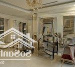 Cho thuê biệt thự song lập 200m2 nguyệt quế khu hồ điều hòa 12ha vinhomes the harmony, có thang máy