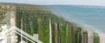 Bán đất mặt biển phan thiết vị trí đẹp, tiềm năng sinh lời - giá đầu tư