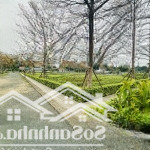 Cực hiếm lô góc 285m2, đường 3 ô tô tại đồng vàng phú mãn, sát đhqg tại hoà lạc. chỉ hơn 5 tỷ