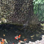Villa sân vườn cao cấp cạnh đảo kim cương quận 2 6pn, phòng rượu, 2 hồ cá koi ,gỗ sồi cao cấp
