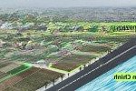 đất biển quất lâm giá rẻ nhất thị trường ngay cạnh quảng trường biển công viên cây xanh phố đi bộ