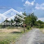 Bán đất ngay cạnh trường suối đá b, dương minh châu giá 350tr hết đất, sẵn ont, shr