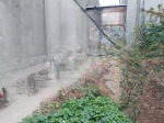 Bán đất kính nỗ, uy nỗ, đông anh, hà nội, giá siêu hời 4,1 tỷ, 49,3 m2