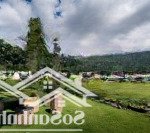 Cần bán gần 3000m2 đất nghỉ dưỡng tại tiến xuân, thạch thất bám trục đại lộ thăng long