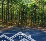 Bán đất 5000m2 sổ đỏ tại ngọc thanh, phúc yên, giá cực chất 17,5 tỷ gần thung lũng thanh xuân