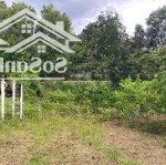 Bà ngoại cần bán gấp lô 1000m2 để lên sg với con cháu