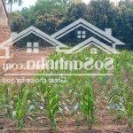 Quá rẻ để đầu tư lô 4574m/400m ont tại nhuận trạch sát kcn nhuận trạch