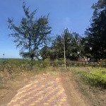 Bán đất 3400m2 tại bà xán, tam thôn hiệp, cần giờ, giá siêu hời 6 triệu / m2