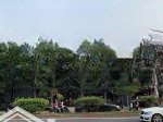 Mặt tiền cộng hòa q.tân bình ( 27x50m - cn 1.350m2 ctxd 2 hầm. 15 tầng ) hđt 400 triệu - giá 180 tỷ