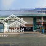 Chính chủ cho thuê nhà mặt tiền 311 nguyễn văn tăng, p. long thạnh mỹ, q9, 8.7x43.5m, 0908140491