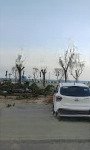 Cho thuê mặt tiền thuỳ vân diện tích 12mx20m