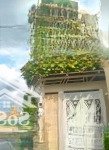 Hàng chuẩn, siêu rẻ. ngã tư thủ đức, 210m2 full thổ (12x17m), hẻm xe hơi, không qh. chỉ 7 tỷ 3