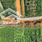 đất nền đẹp xuất sắc tại lộc an, bảo lâm, lâm đồng, giá cực chất 1,5 tỷ, 250m2