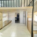 Khai trương các căn duplex tạ quang bửu quận 8
