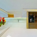 Bán biệt thự sân vườn hẻm xe hơi đường bùi đình túy phường 12, quận bình thạnh 160m2