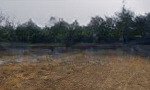 Fo chủ đất cắt bán 100m2 full đất ở. mặt 6,9m nở hậu 6,9m