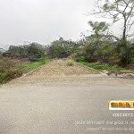 Chính chủ cần bán lô đất thôn hương trầm, thụy lâm, đông anh, đối diện dự án vin 708ha, đường 17m