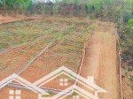 Rẻ nhất đào xá thanh thuỷ, phú thọ- đất mặt đường nhựa chỉ hơn triệu/m2 rẻ hơn đất trong ngõ luôn ạ