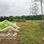 Bán 1000m/400m thổ cư tại đông xuân, quốc oai, hn giá chỉ hơn 5tr/m