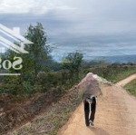 Bán nhanh lô đất vườn đt 725, 750 triệu / 1220m2, giá cực chất!