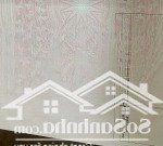 Pl vip 2 ô tô, 2 vỉa hè, 55m2, mt 4.5m, 4 tầng, giá 21.5 tỷ