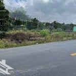 Bán đất chính chủ, uy tín tại dt 333 yên đức, đông triều, quảng ninh