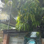 Chạy taxi không đủ tiền trả lãi nh cần bán gấp căn nhà 80m2, mặt tiền hxh kd, sổ hồng riêng, quận 7