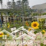 Sổ hồng trao tay - sở hữu ngay căn liền centa city 75m2 - gía chỉ 3 tỷ xx