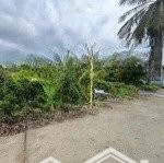 đất vườn view sông tầm vu nghĩ dưỡng thuộc ấp an bình - hiệp thạnh _ diện tích : 22 x 16 (313m2)