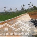 Cần bán mảnh đất đẹp tại hoà sơn, lương sơn, hoà bình view cánh đồng lúa tuyệt đẹp diện tích: 1.
