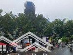 Bán nhà mặt tiền bà hạt, p. 9, quận 10 trệt lửng 4 lầu st dt: 5.5m x 19m nở hậu: 9m giá 32 tỷ tl