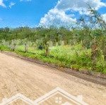 Bán đất ea pal - đăk lăk đường đất thông ô tô quy hoạch đất ở giá chỉ 250 triệu