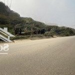 Vài triệu có đất mặt đường hồ chí minh cao dương lương sơn hoà bình 0929656188