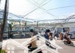 Bán nhà 4 tầng mặt tiền dương hiến quyền ngang 11m