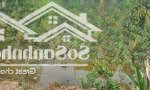 Bán đất kim sơn, đường 2 ô tô tránh, cách tl 416 chỉ 50m, dt 1.148m2, mt 21m,