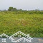 Cho thuê đất tại an phước - long thành - đồng nai 5000m2