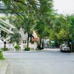 Siêu hiếm gà đẻ trứng vàng - vip xã đàn, đống đa, vị trí đẹp, ô tô đỗ cửa, dòng tiền tiềm năng