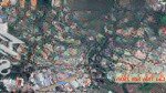 Bán gấp đất thổ chỉ 05 phút tới chợ tầm vu, full thổ cư, đường ô tô con.